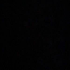 Meet your Posher, Jerry